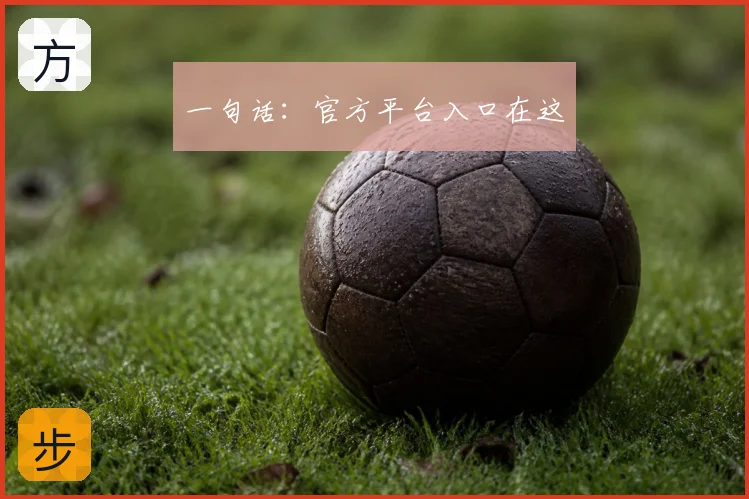 一句话:官方平台入口在这